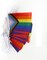 Progress Rainbow Pride Flags Banner String,Small Mini Rainbow Gay LGBT Pennant Flag For Rainbow Party Festival Decorations(50 Feet 38 Flags)